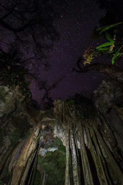 Foto vista a basso angolo del cielo notturno