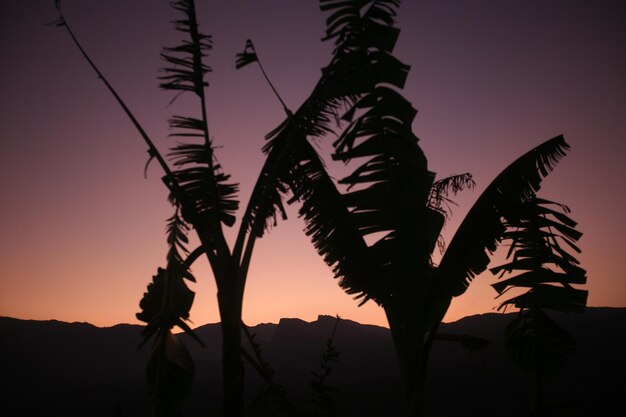 Low angle view of sky at sunset