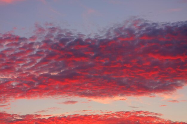 Foto vista a basso angolo del cielo al tramonto