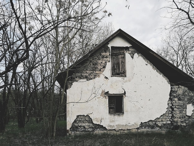 Низкий угол обзора неба