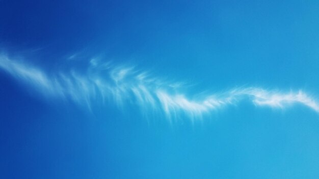 Foto vista del cielo ad angolo basso