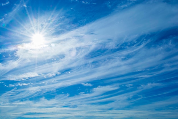 Foto vista del cielo ad angolo basso