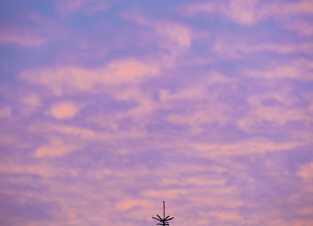 Low angle view of sky