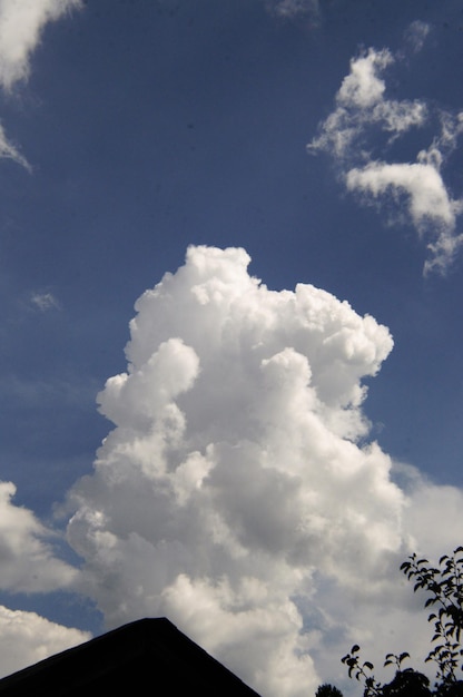 Foto vista del cielo ad angolo basso