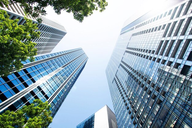 Low Angle View of Skyscrapers