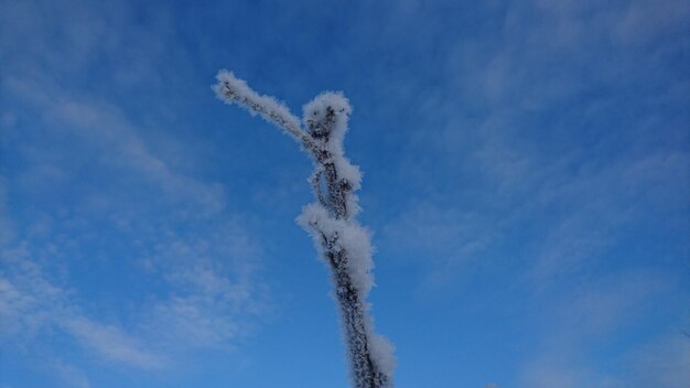 Low angle view of snow against blue sky