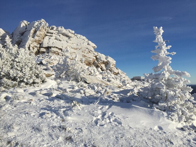 Low angle view of snow covered land against blue sky