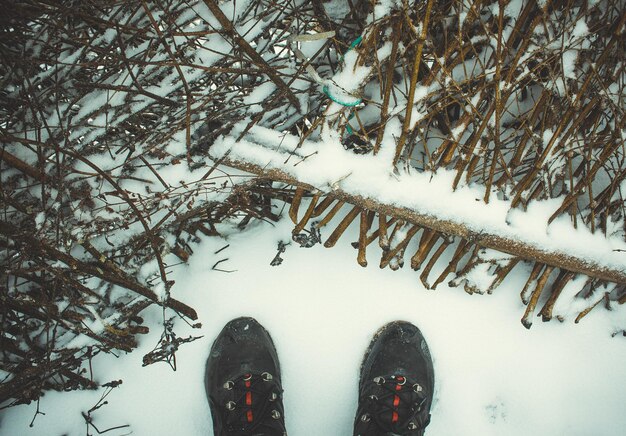 Photo low angle view of snow covered trees