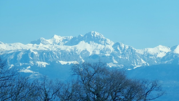 Низкоугольный вид на снежные горы на фоне чистого голубого неба