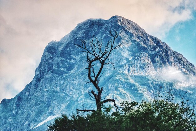 Low angle view of snowcapped mountain against sky