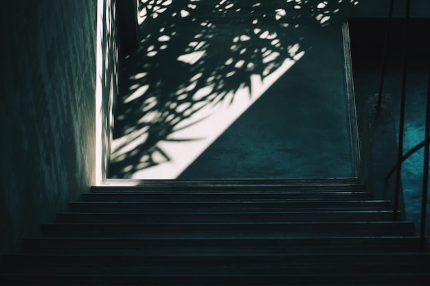 Photo low angle view of staircase in building