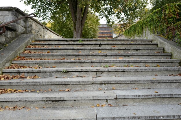 Low angle view of stairs