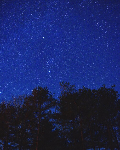 Low angle view of star field against blue sky