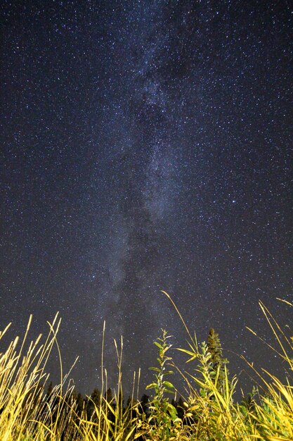 Foto vista a basso angolo del campo stellare contro il cielo