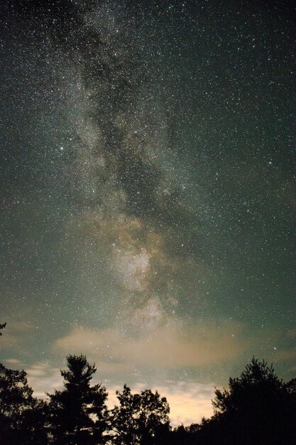 Foto vista a basso angolo del campo stellare contro il campo stellare