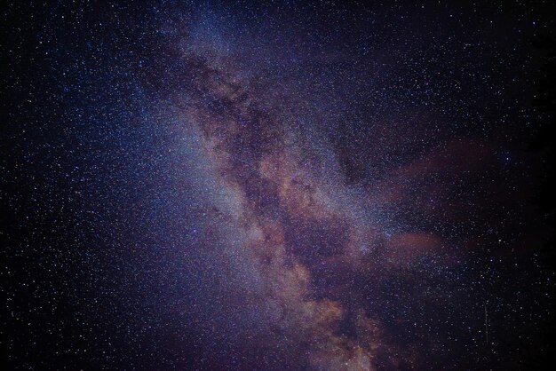 Foto vista a basso angolo del campo stellare di notte