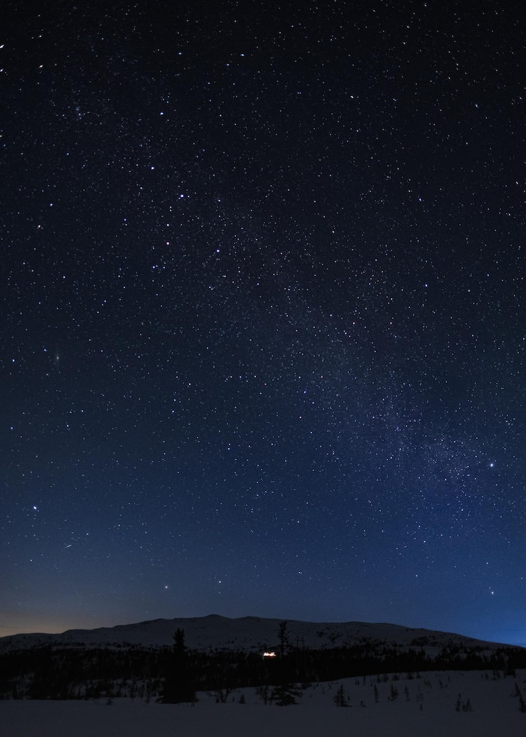 Photo 夜の星のフィールドの低角度のビュー