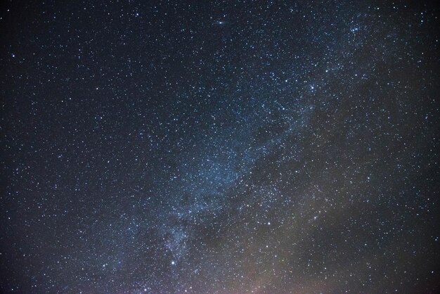 夜空の星の低角度の眺め