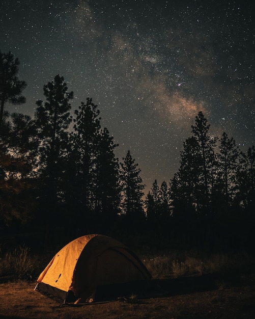 Photo low angle view of stars in sky at night