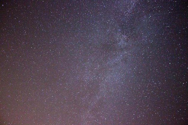 天空の星の低角度の眺め