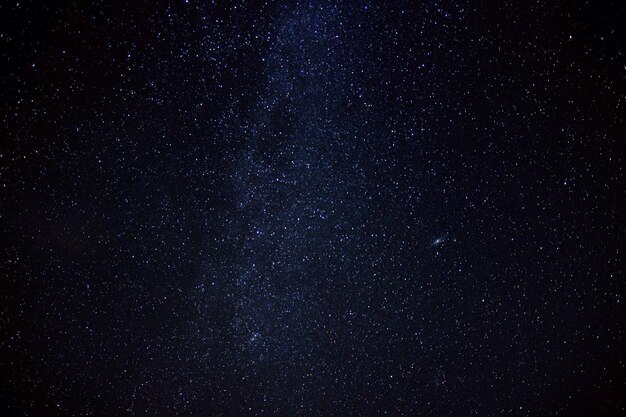 天空の星の低角度の眺め