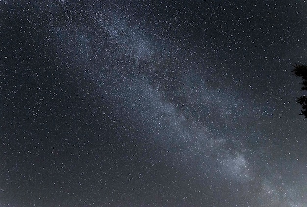 Photo low angle view of stars in sky