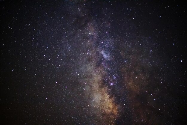 Foto vista a bassa angolazione delle stelle nel cielo