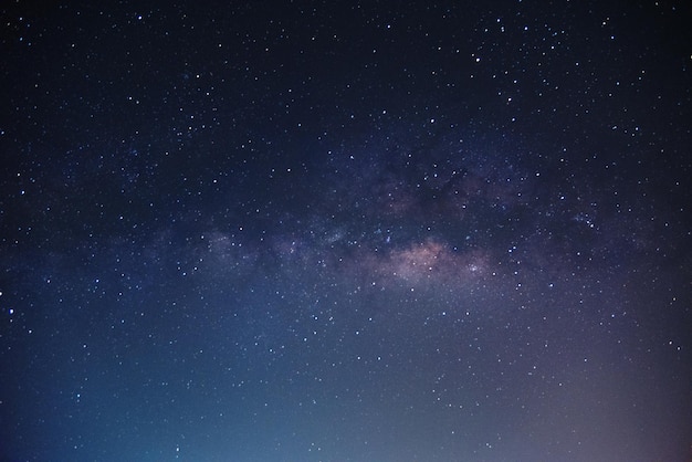 Foto vista a basso angolo delle stelle nel cielo