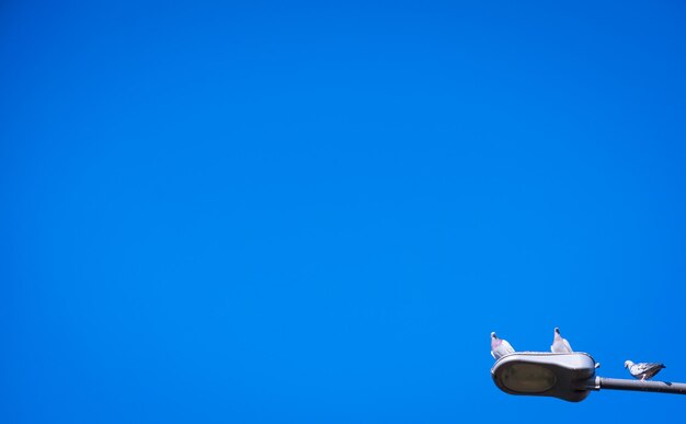 Photo low angle view of statue against clear blue sky