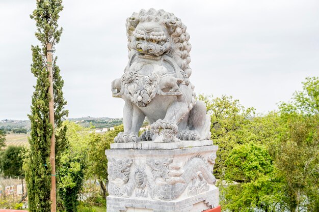 Foto vista a basso angolo della statua contro il cielo limpido al parco