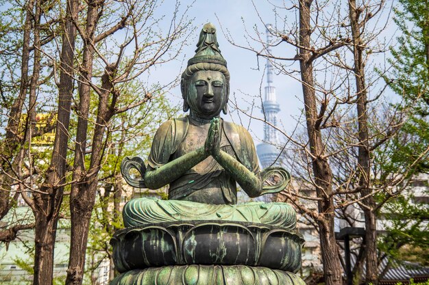 木々を背景にした像の低角度の眺め