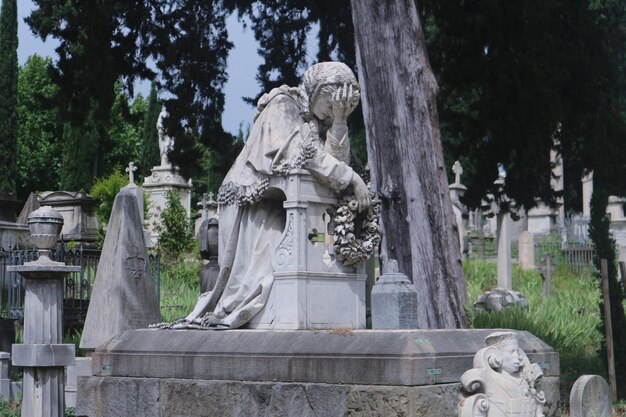 Low angle view of statue against trees