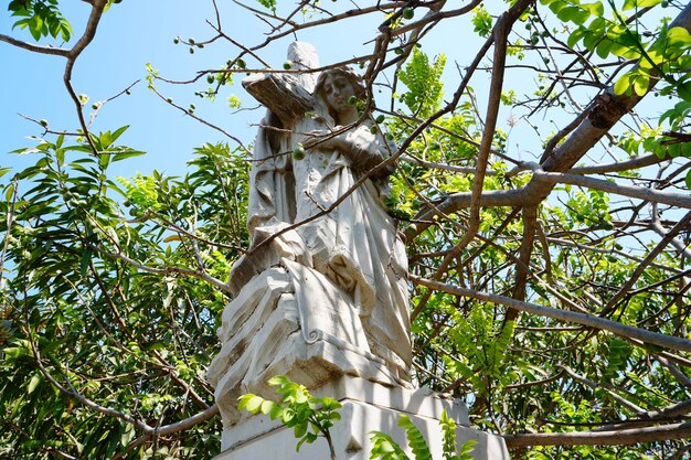 Foto vista a bassa angolazione della statua tra i rami