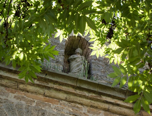 Foto vista a bassa angolazione della statua sull'edificio