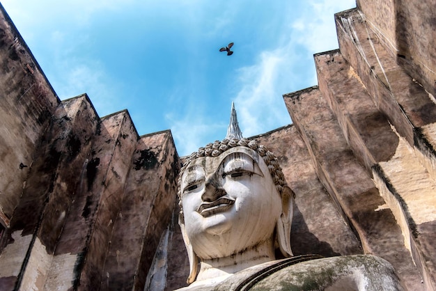 空に照らされた歴史的な建物の ⁇ 像の低角度の眺め