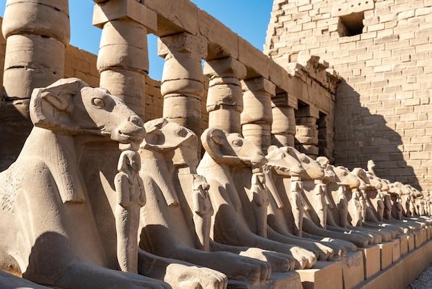 カルナック寺院の低角度の景色 エジプトのルクソール タイムトラベル