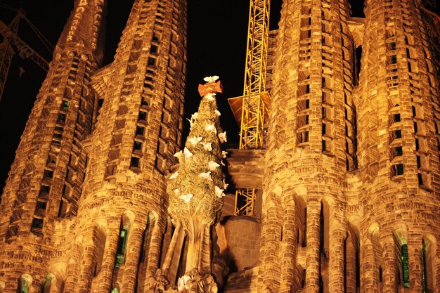 Foto vista a basso angolo della statua di notte