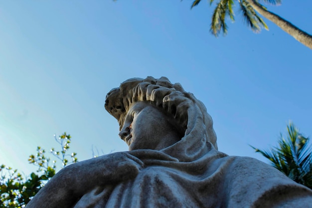 Foto vista a basso angolo della statua e dell'albero contro un cielo limpido in una giornata di sole