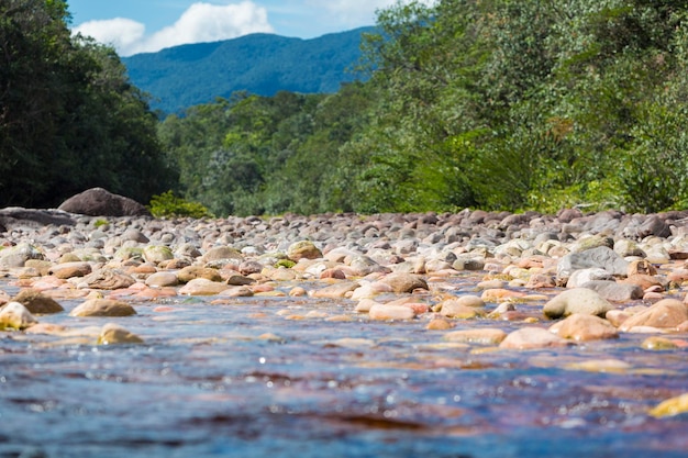 Photo low angle view of stones in the river in venezuela