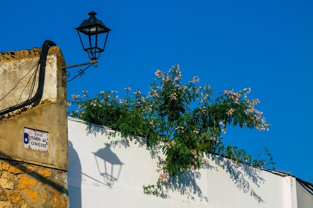 Low angle view of street light against building