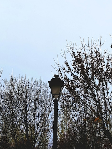 Low angle view of street light against sky