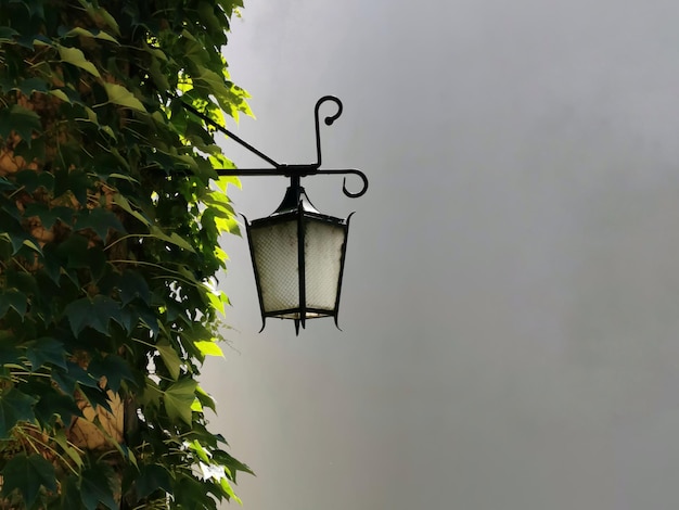 Low angle view of street light against sky