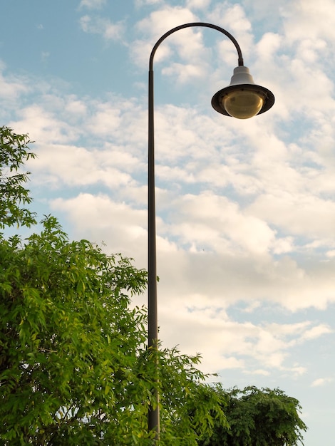 Low angle view of street light by tree against sky