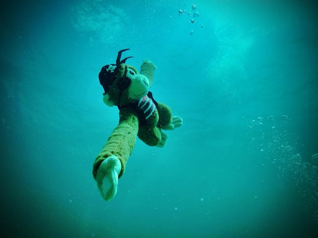 Low angle view of stuffed toy in sea