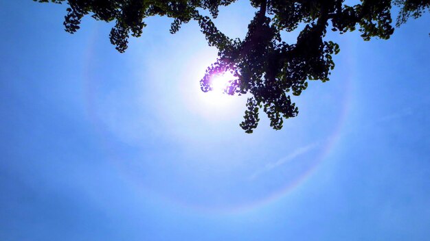 Low angle view of sun shining in sky