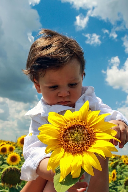 Foto vista a basso angolo del girasole contro il cielo