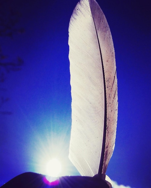 Photo low angle view of sunlight against blue sky