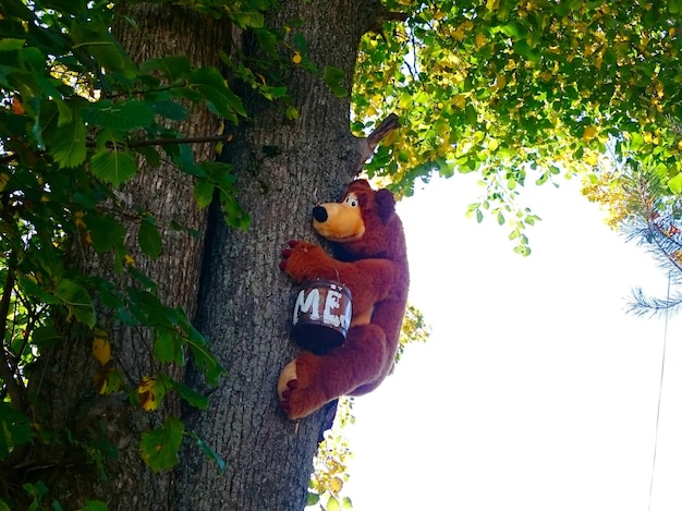 Foto vista a basso angolo dell'orso di peluche sull'albero