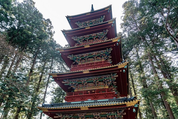 建物の背後にある寺院の低角度の眺め