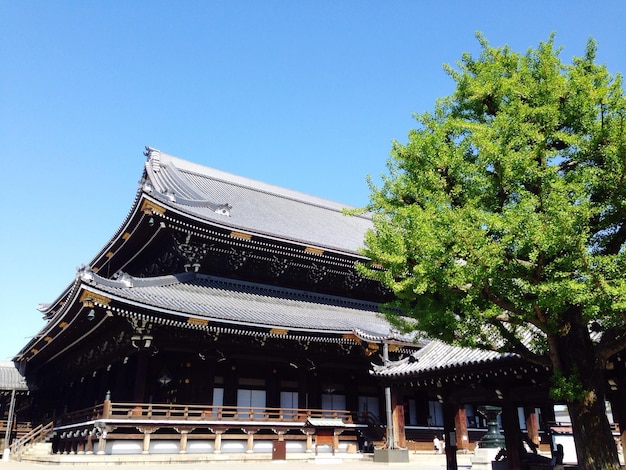 明るい青い空を背景にした寺院の低角度の景色